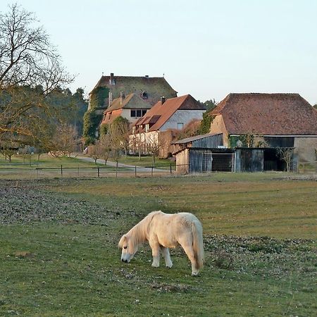 Elgersheimer Hof Volkach Bagian luar foto