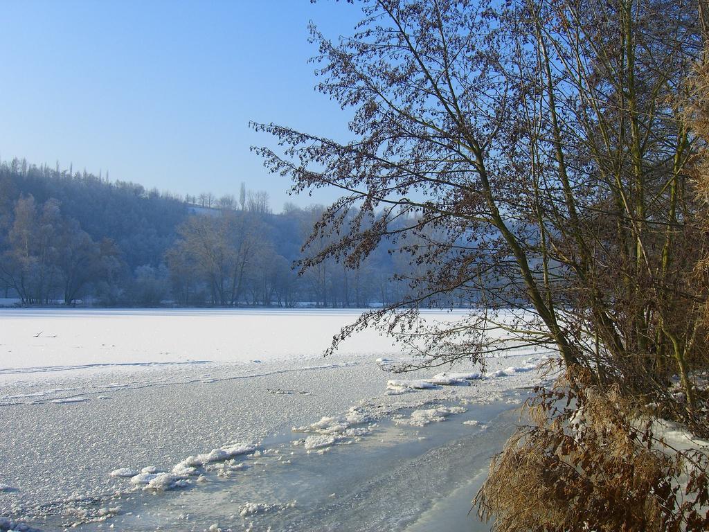 Elgersheimer Hof Volkach Bagian luar foto