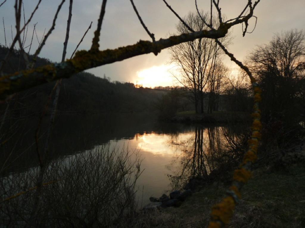 Elgersheimer Hof Volkach Bagian luar foto
