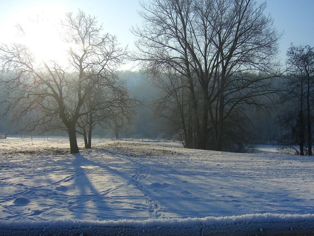 Elgersheimer Hof Volkach Bagian luar foto