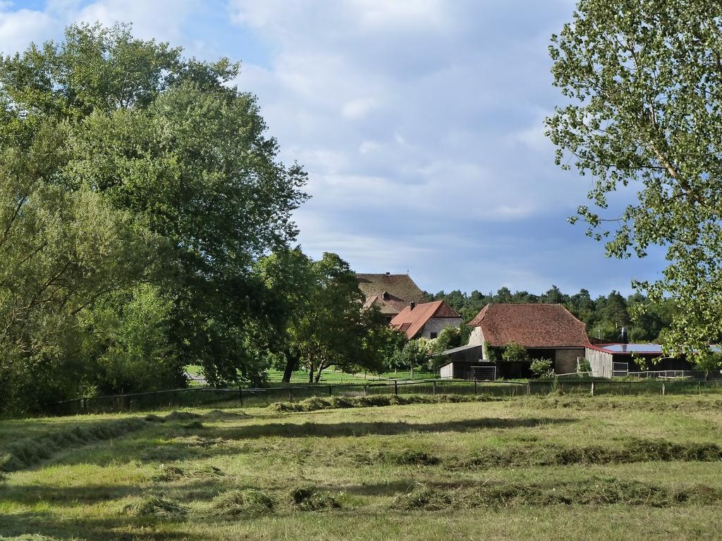 Elgersheimer Hof Volkach Bagian luar foto