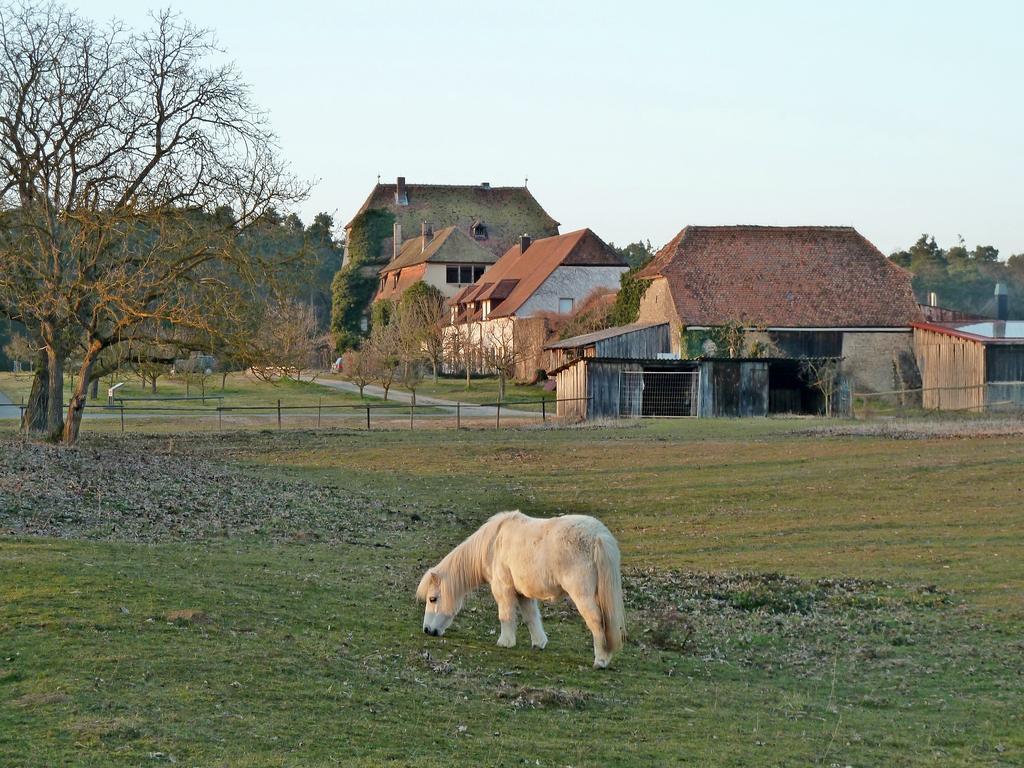 Elgersheimer Hof Volkach Bagian luar foto
